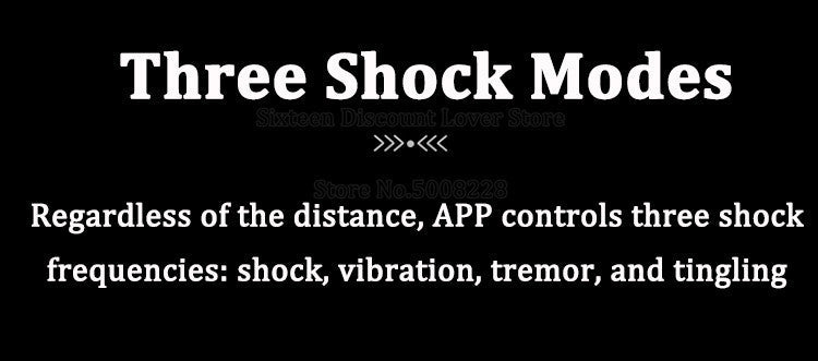 Cellmate1 Remote Electric Shock Male Chastity Device - InvertedChastity