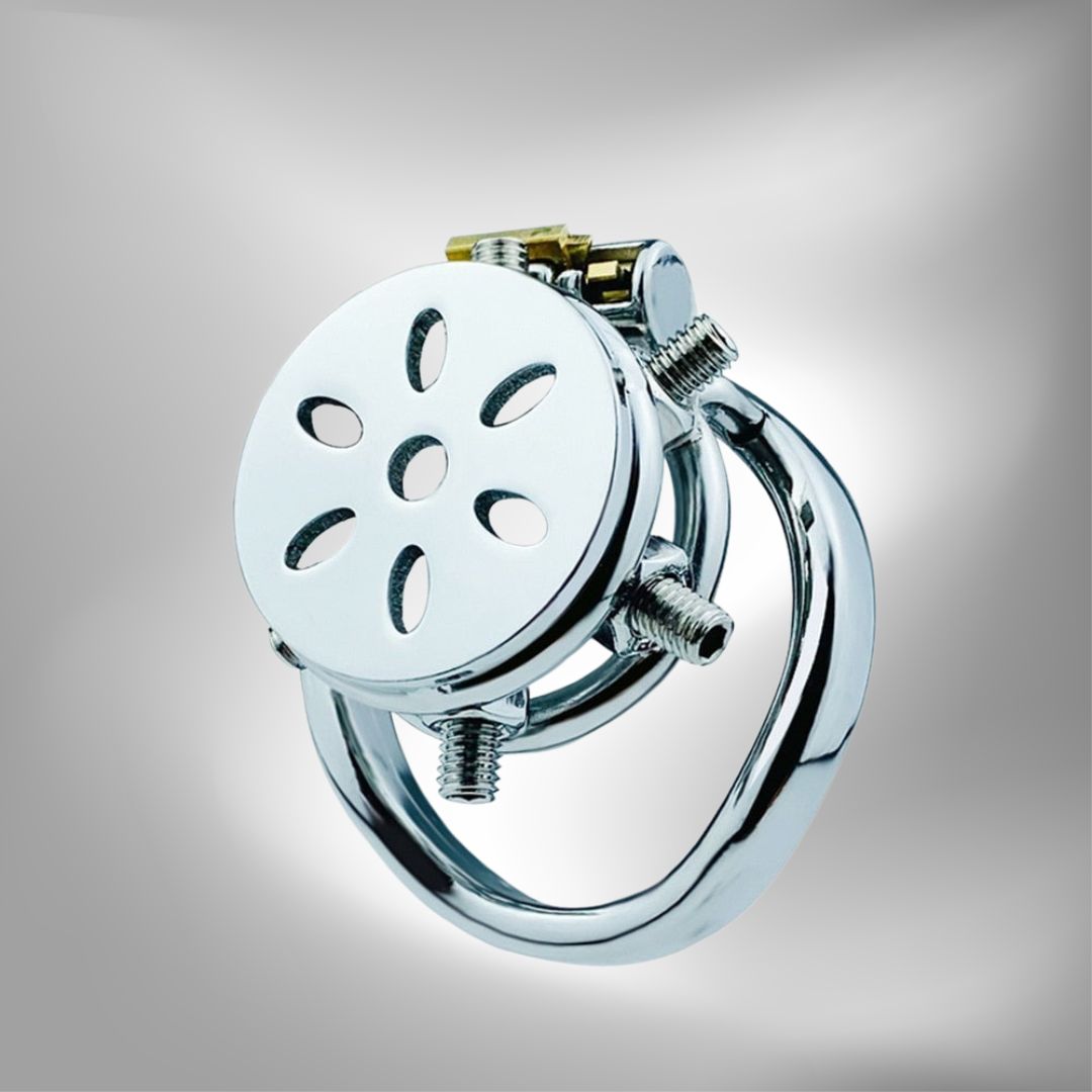 Spiked Flat Chastity Cage with Arc/ Round Ring and Screws - 304 Stainless Steel Cock cage For Men