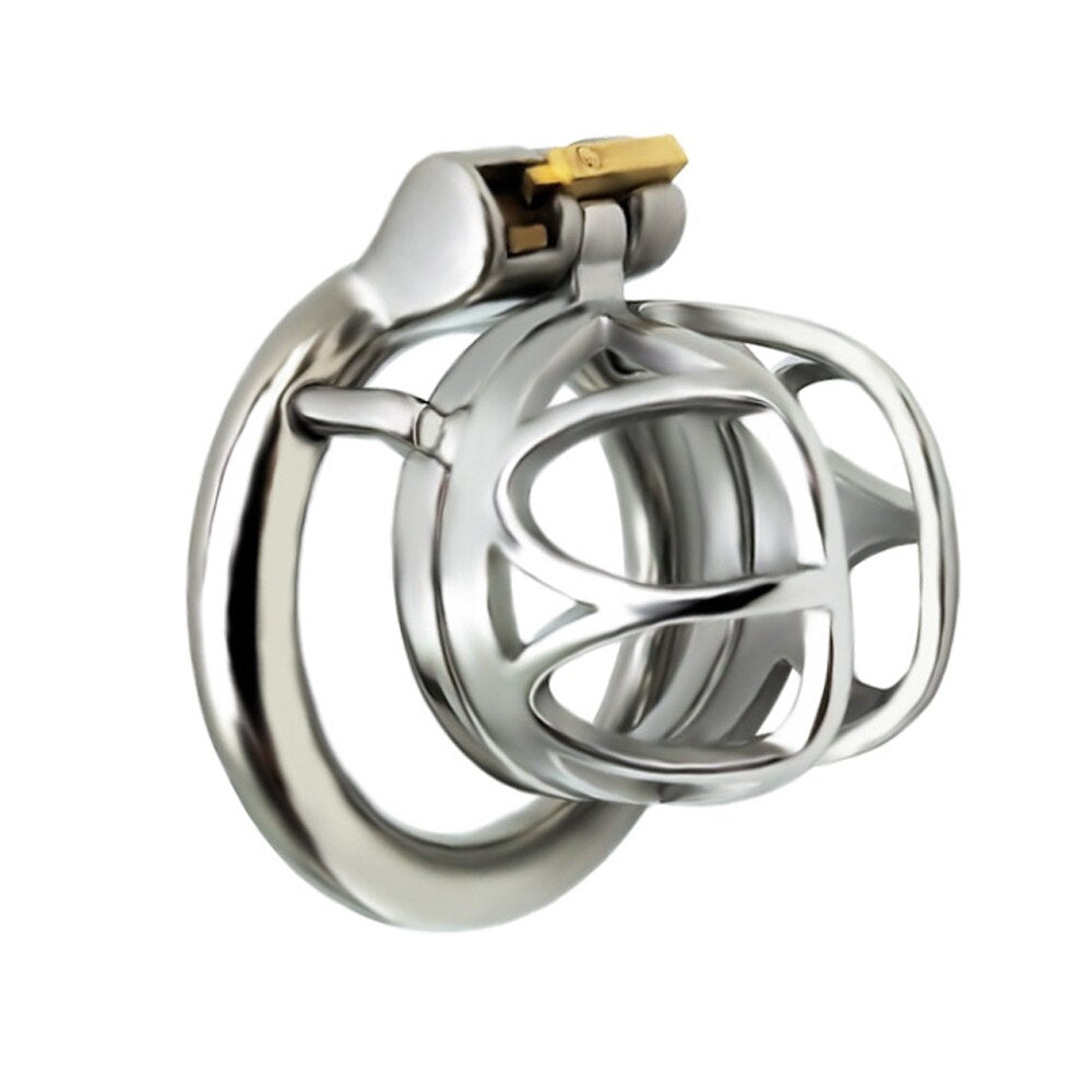 BDSM Metal Inverted Chastity Cock Cage with Lock Penis Rings