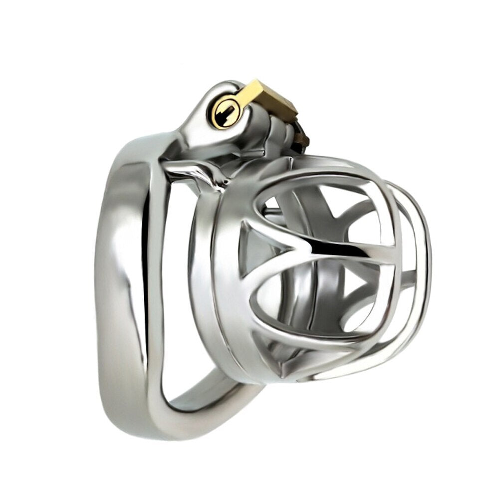 BDSM Metal Inverted Chastity Cock Cage with Lock Penis Rings