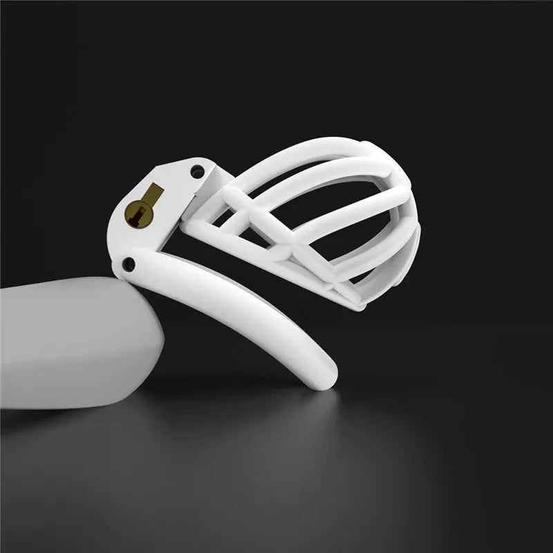 3D Printed PA Prince Albert Chastity Cage with 4 Rings