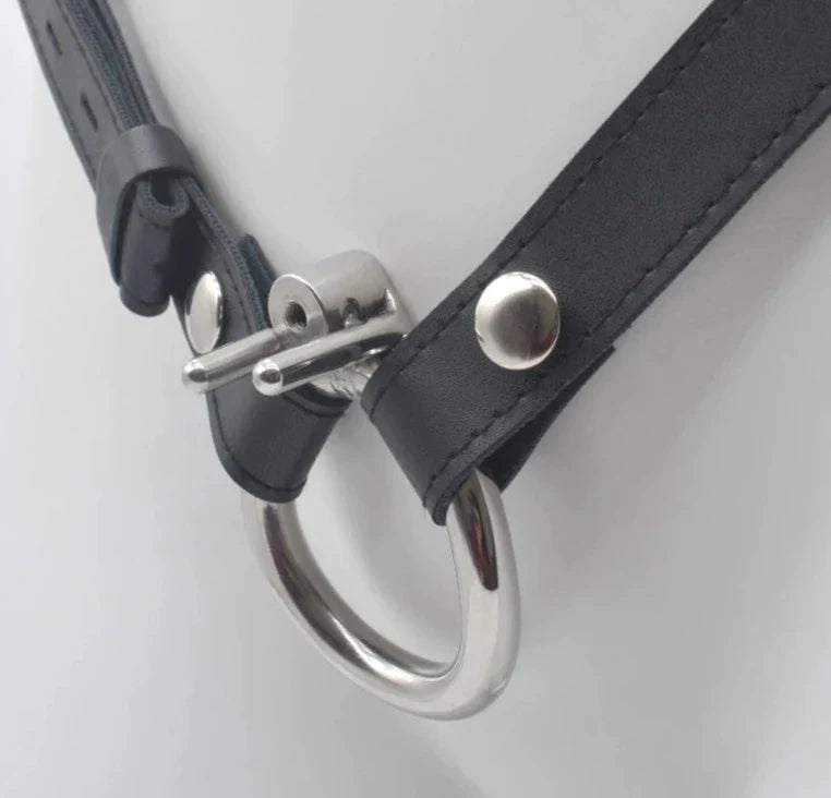 Small Flat Chastity Cage with Metal Catheter Urethral Sounding Tube