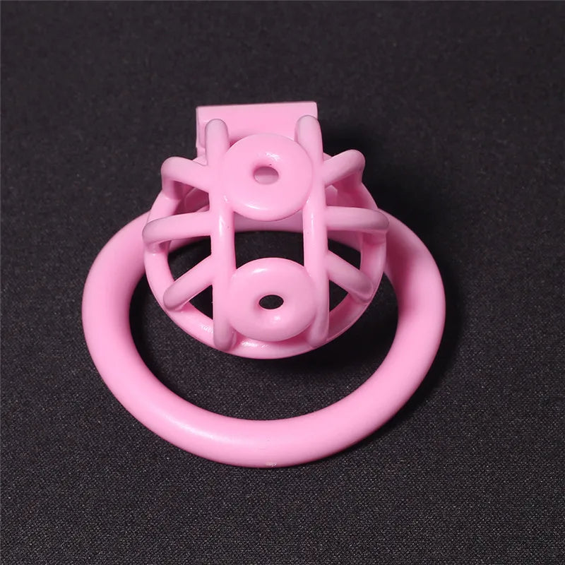 3D Printed PA Prince Albert Chastity Cage with 4 Rings