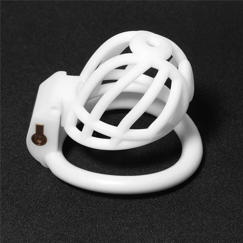 3D Printed PA Prince Albert Chastity Cage with 4 Rings