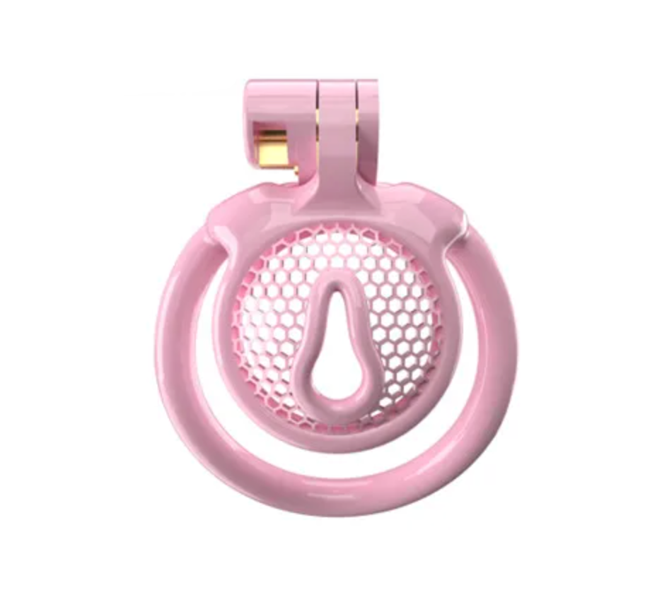 Micro Vaginal Pink Chastity Cage with Clit Holes for Sissy Slave Training  with 5 Rings – InvertedChastity