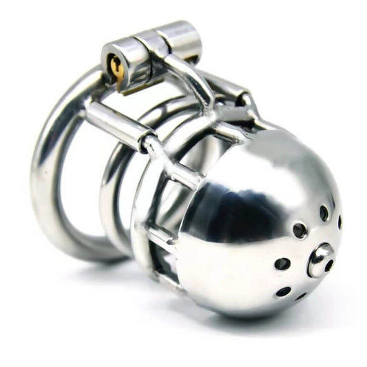 Metal Chastity Cage with Through Hole PA Prince Albert Penis Lock- Cock Cage For Men