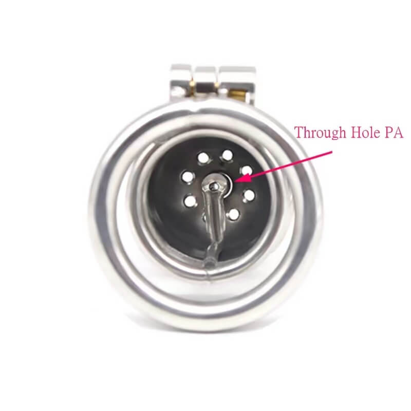 Metal Chastity Cage with Through Hole PA Prince Albert Penis Lock- Cock Cage For Men