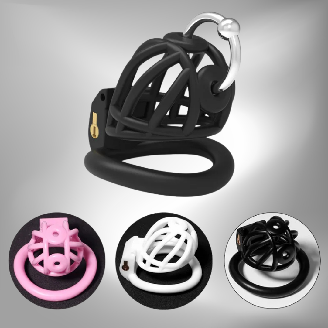 3D Printed PA Prince Albert Chastity Cage with 4 Rings