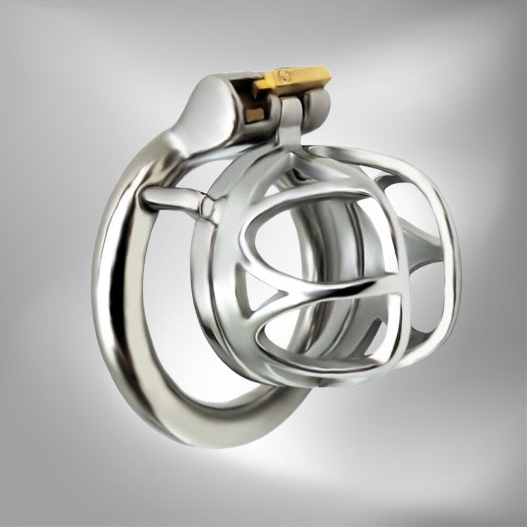 BDSM Metal Inverted Chastity Cock Cage with Lock Penis Rings