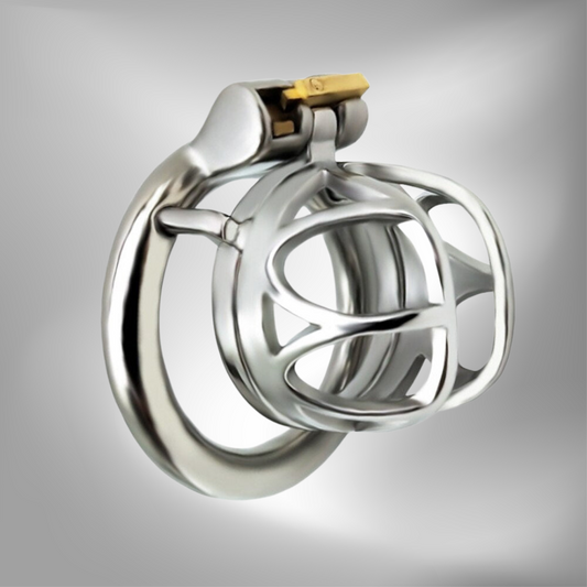 BDSM Metal Inverted Chastity Cock Cage with Lock Penis Rings