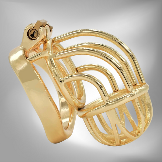 Curved Metal Gold Chastity Cage For Men Golden Cock Cage BDSM Chastity Device
