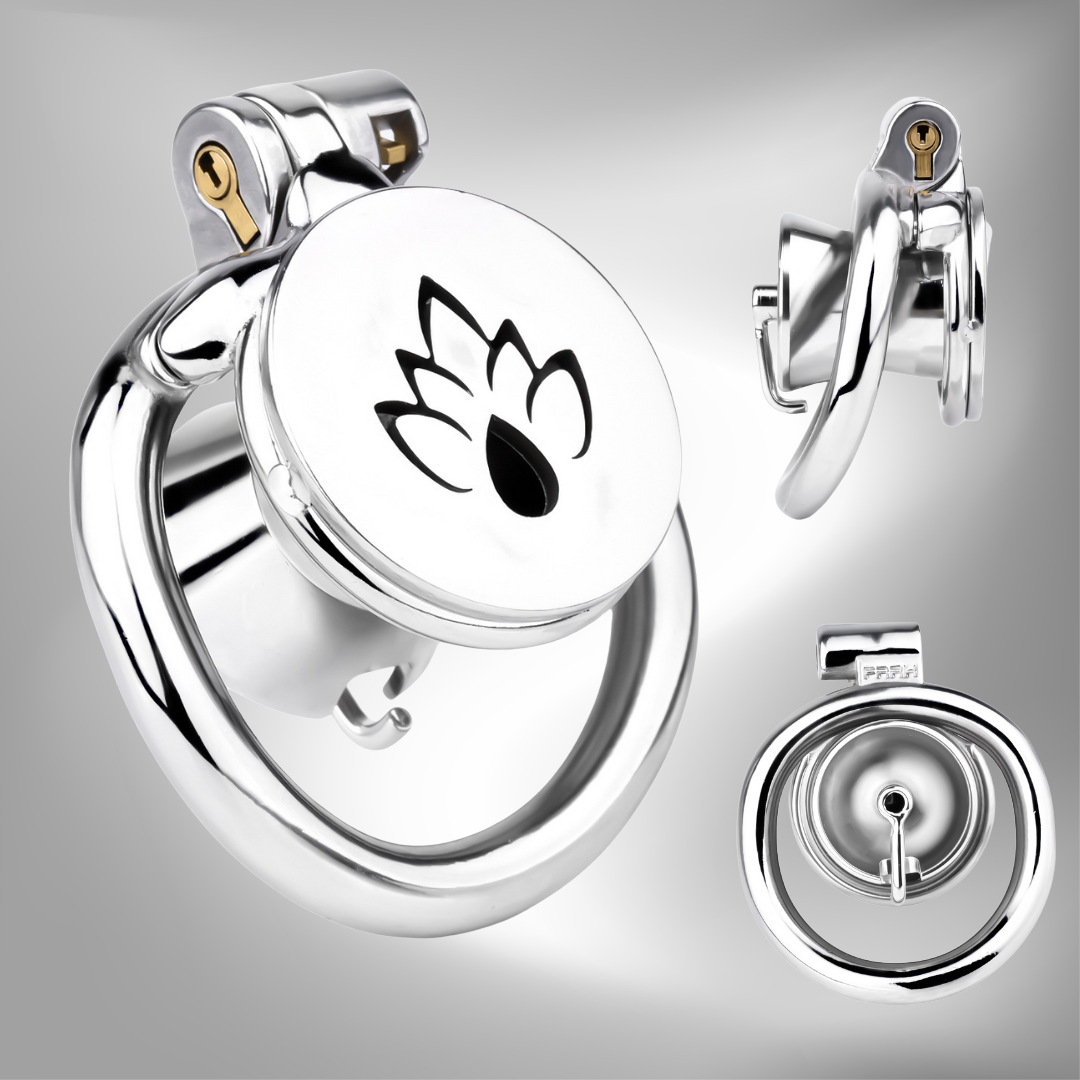 Metal Inverted PA Chastity Cage Prince Albert Penis Piercing Cock Lock for Men BDSM Device