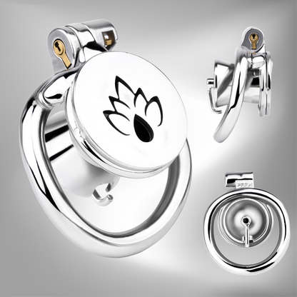 Metal Inverted PA Chastity Cage Prince Albert Penis Piercing Cock Lock for Men BDSM Device