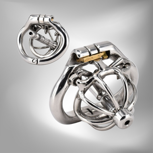 Removable Metal Spiked Chastity Cage with Urethral Stretcher Dilator - InvertedChastity