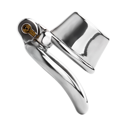 Stainless Steel Showerhead Chastity Cage with Silicone Urethral Catheter