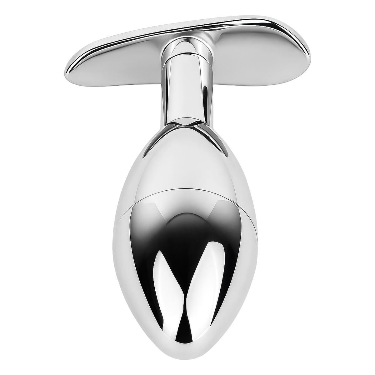 304 Stainless Steel Anal Plug Keyholder with Cooling & Warming Chamber