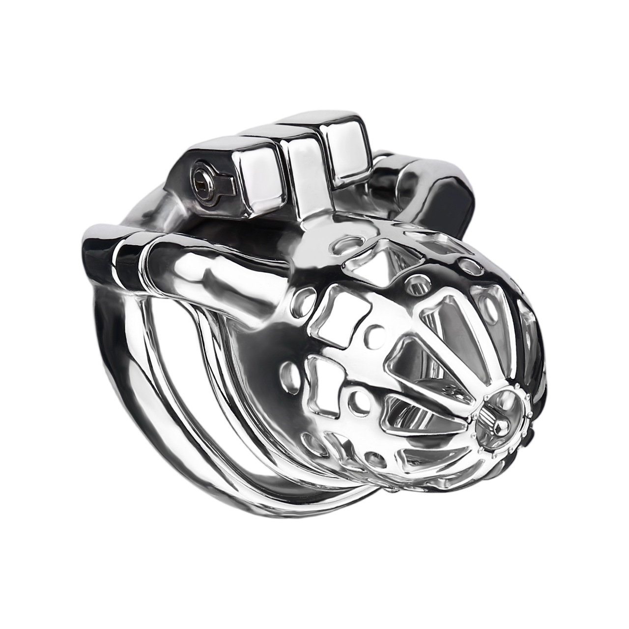 Breathable Stainless Steel PA Chastity Cage Prince Albert Penis Piercing Cock Lock