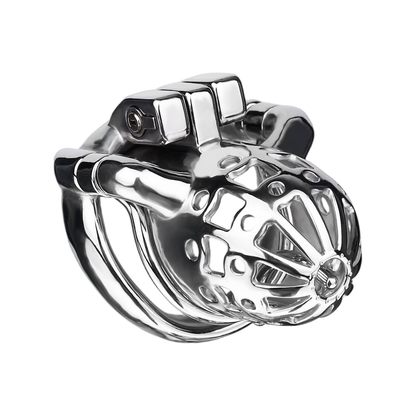 Breathable Stainless Steel PA Chastity Cage Prince Albert Penis Piercing Cock Lock