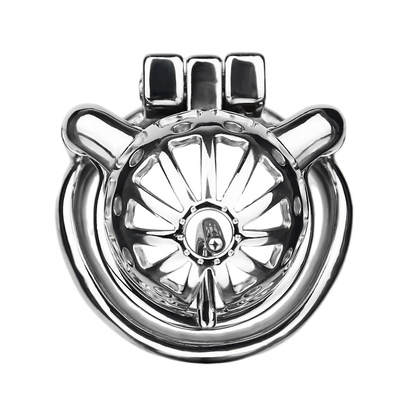 Breathable Stainless Steel PA Chastity Cage Prince Albert Penis Piercing Cock Lock