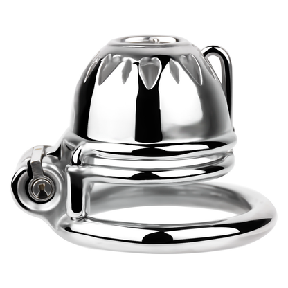 Tiny Cobra PA Chastity Cage Prince Albert Penis Piercing Male Chastity Device